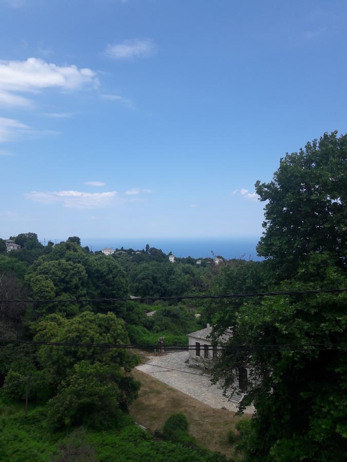 טסגרדה Αρχοντικό Κονάκι- Konaki Pelion מראה חיצוני תמונה
